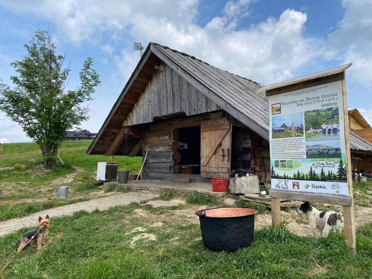 Zloty Gron Log Houses & Apartments Istebna Exterior foto